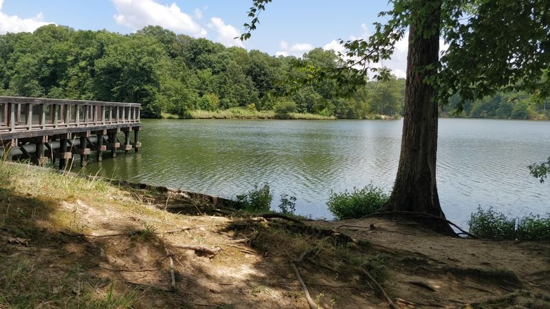 What Makes This Beach So Special