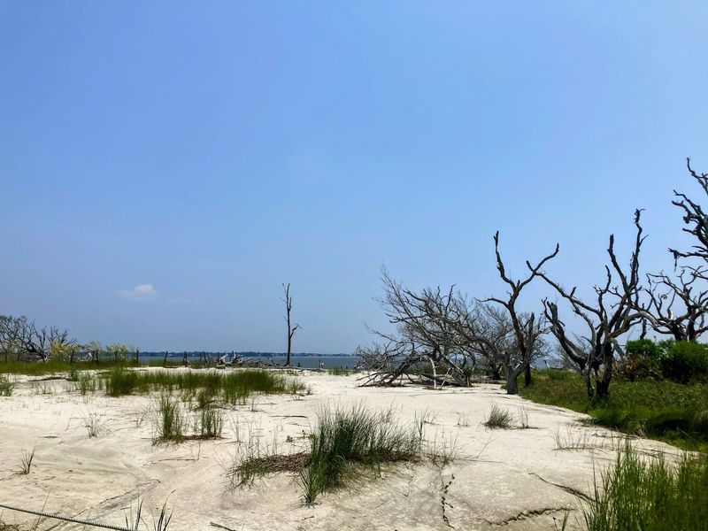 How To Find Your Way To This Hidden Coastal Treasure