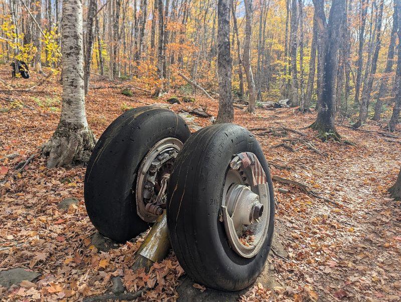 The Atmosphere And Mood Of The Site