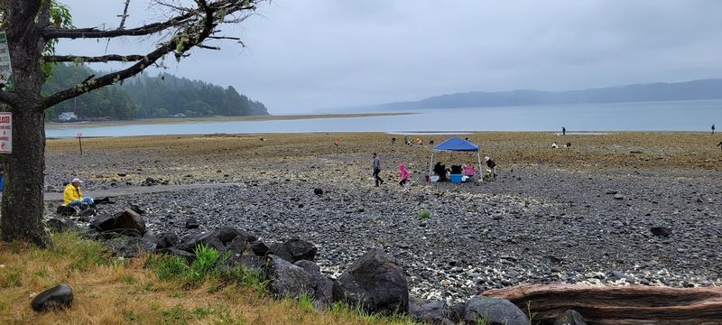 How To Harvest Oysters The Right Way