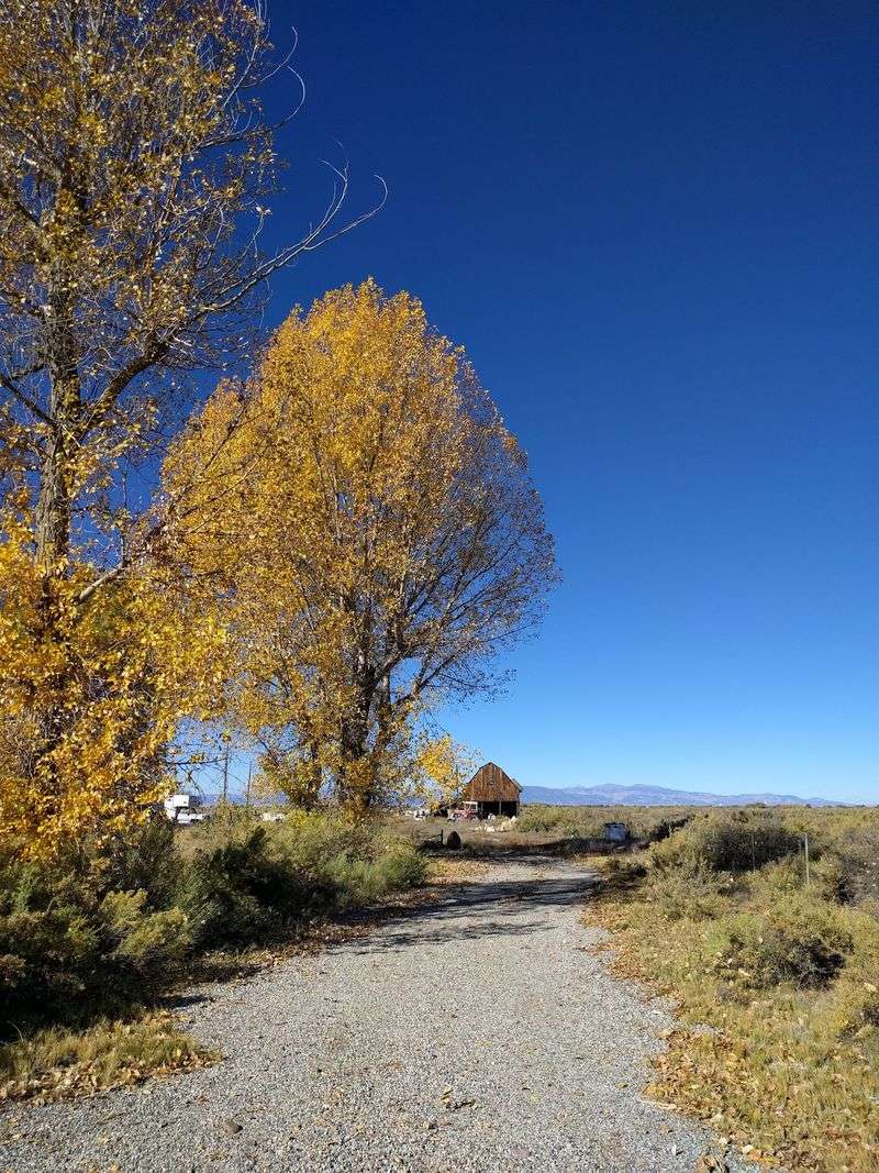 How To Make It A Simple Saturday Detour