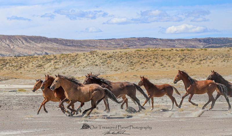Final Verdict: What Makes Sand Wash Basin Worth The Trip In March