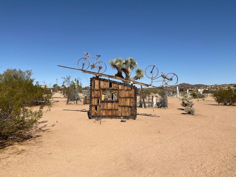 How To Prepare For Your Visit Like A Desert Pro