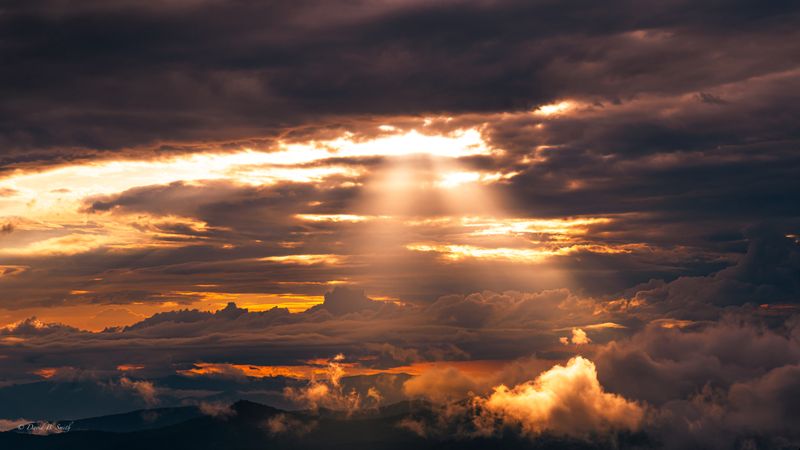 Your Repeatable Little Tradition