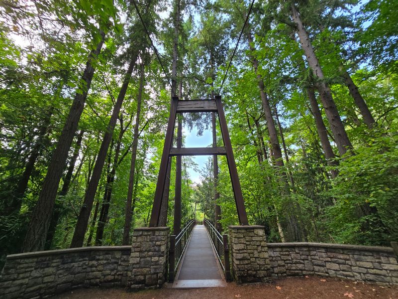 How a Quiet Corner Grew Into a Public Treasure How a Quiet Corner Grew Into a Public Treasure