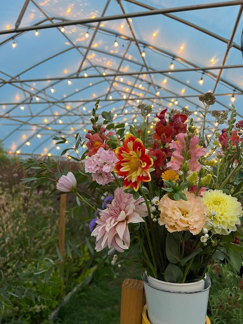 Why Strawflower Farm Stands Out in the Region