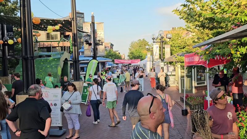 Making It a Proper Mini Outing