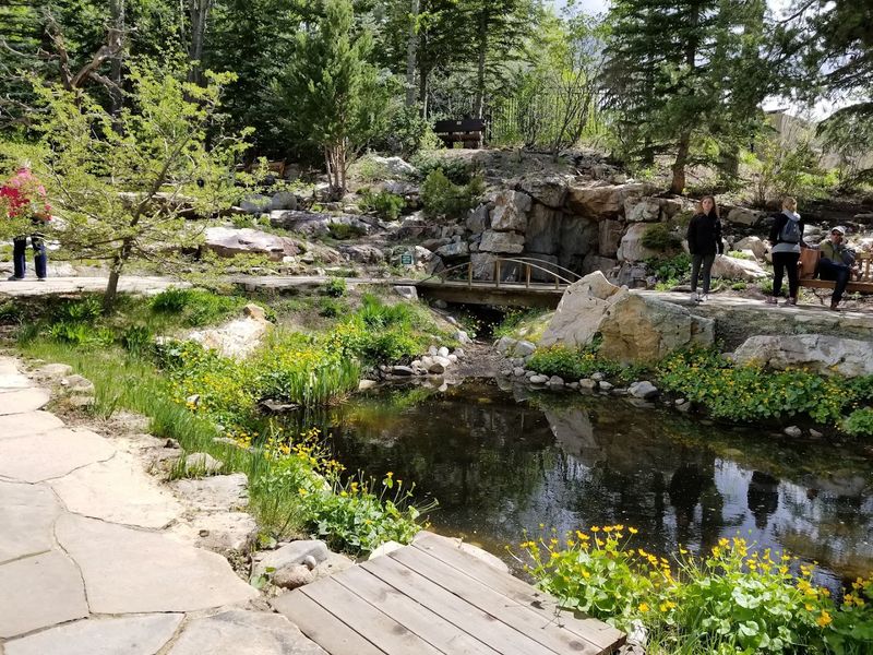 How the Garden Fits Every Kind of Visitor Without Trying Too Hard