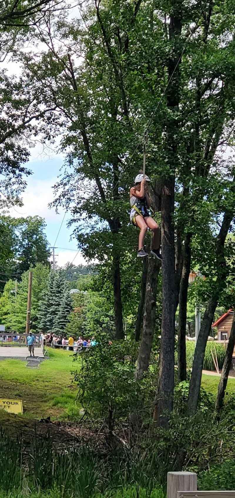 What the Ride Actually Feels Like According to Real Guests