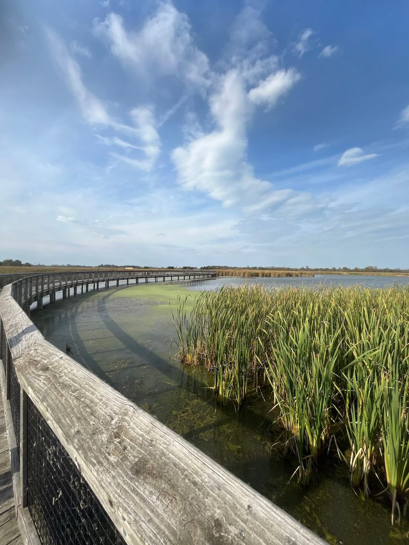 Howard Marsh Metropark, Curtice