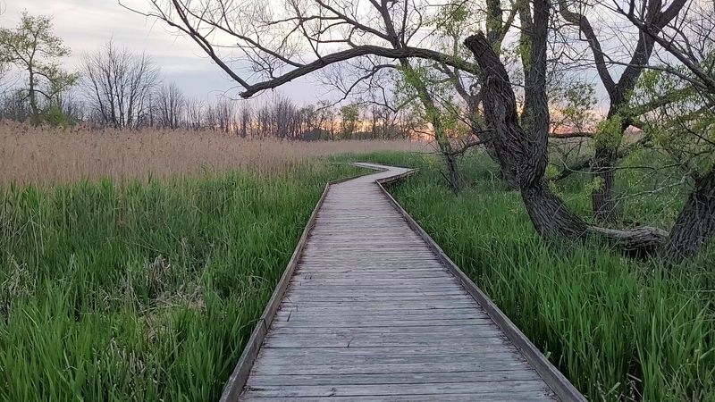 Maumee Bay State Park, Oregon, Ohio