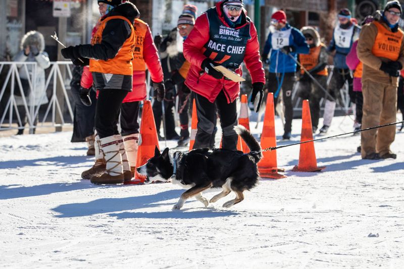 American Birkebeiner Ski Week – Hayward