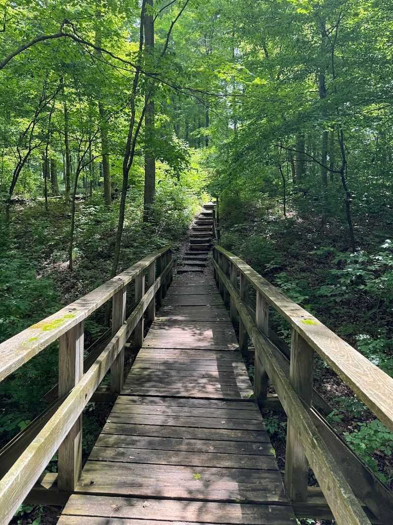 Hueston Woods State Park, College Corner