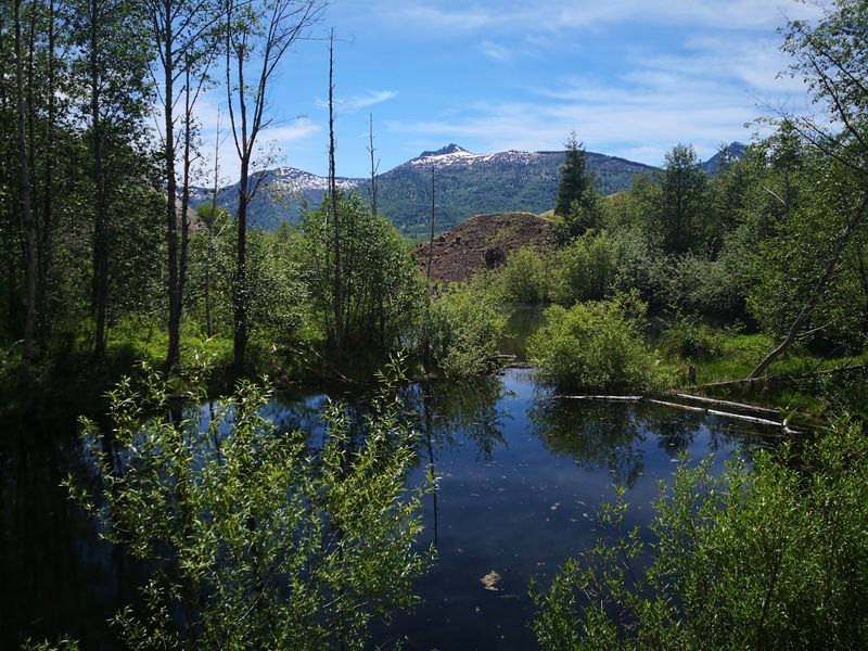 Hummocks Trail At Mount St. Helens, Toutle Hummocks Trail At Mount St. Helens, Toutle