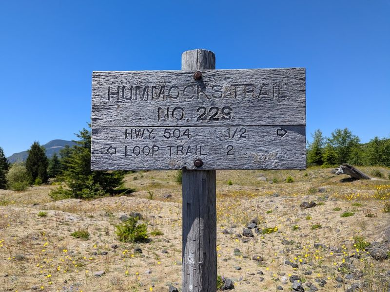 Hummocks Trail, Mount St. Helens National Volcanic Monument