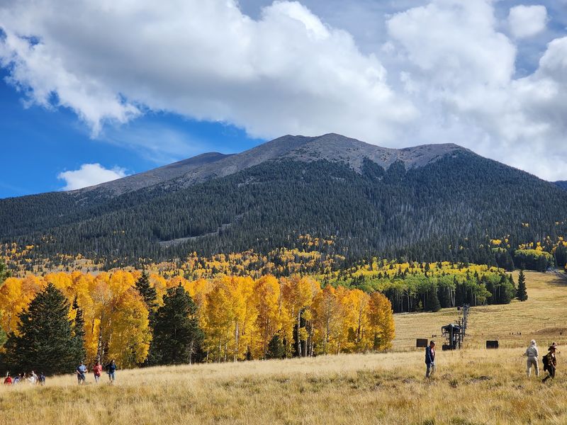 Humphreys Peak Trail, Flagstaff, AZ