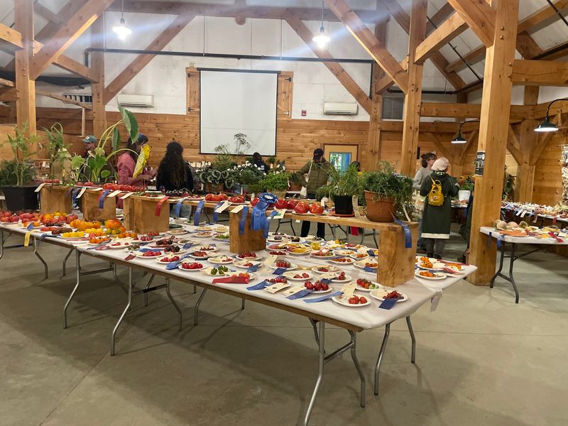 Hundreds Of Forgotten Apples Get Their Moment In The Spotlight