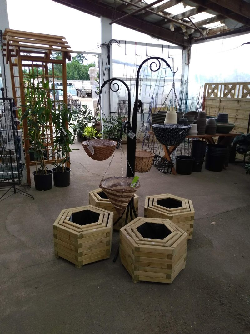 Hundreds Of Plants Waiting Outside