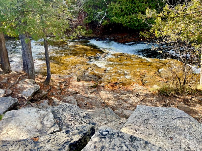 Ocqueoc Falls (Lower Peninsula)