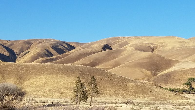 Hungry Valley SVRA Campgrounds Hungry Valley SVRA Campgrounds