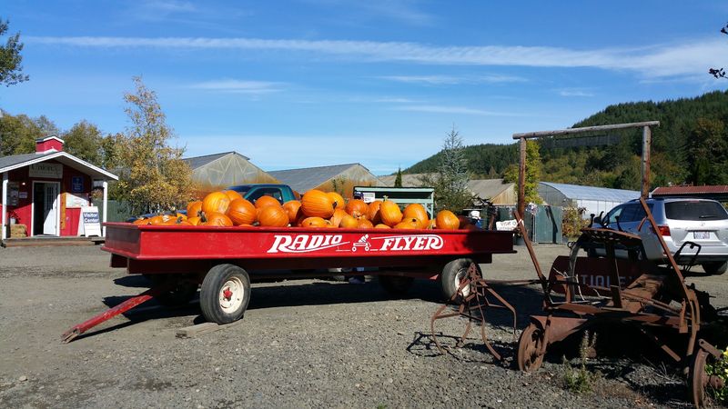 Hunter Farms, Union, WA Hunter Farms, Union, WA