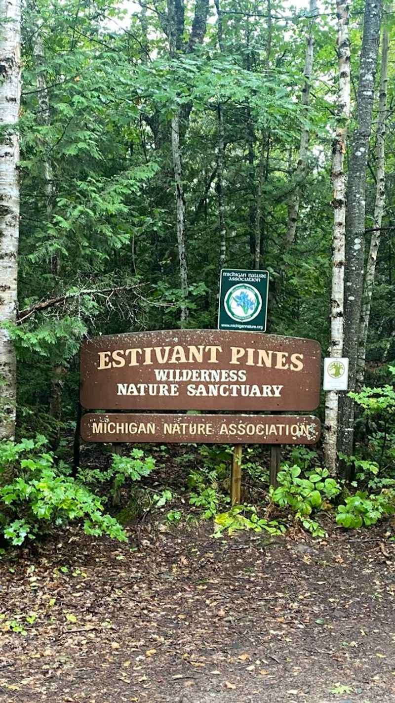 Estivant Pines Loop, Mohawk