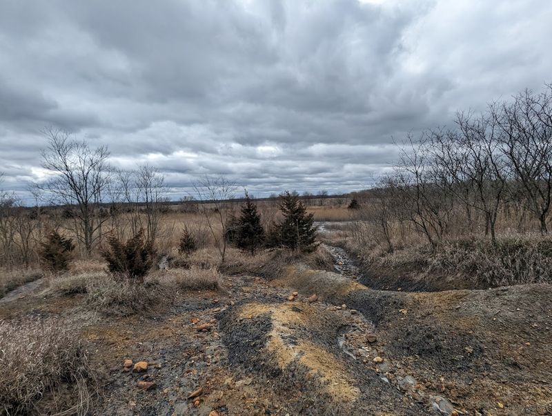 Practical Tips For A Successful Visit