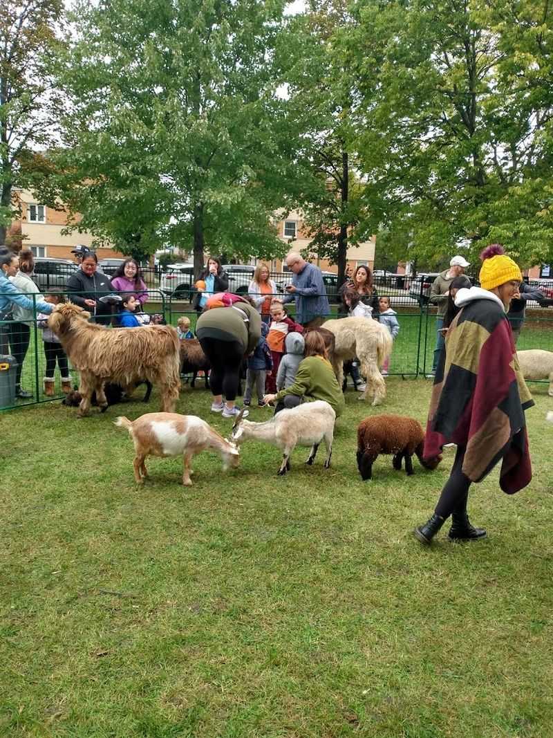 Jefferson Park Sunday Market
