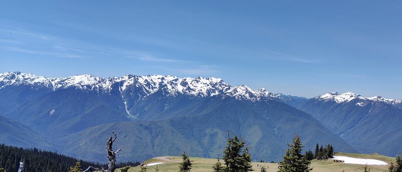 Hurricane Hill, Olympic National Park