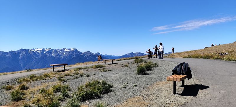 Hurricane Hill Trail, Olympic National Park Hurricane Hill Trail, Olympic National Park