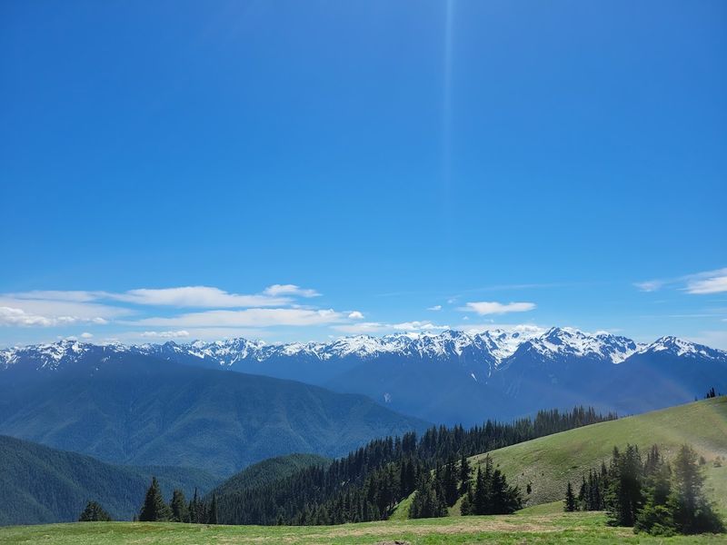 Hurricane Ridge In Olympic National Park