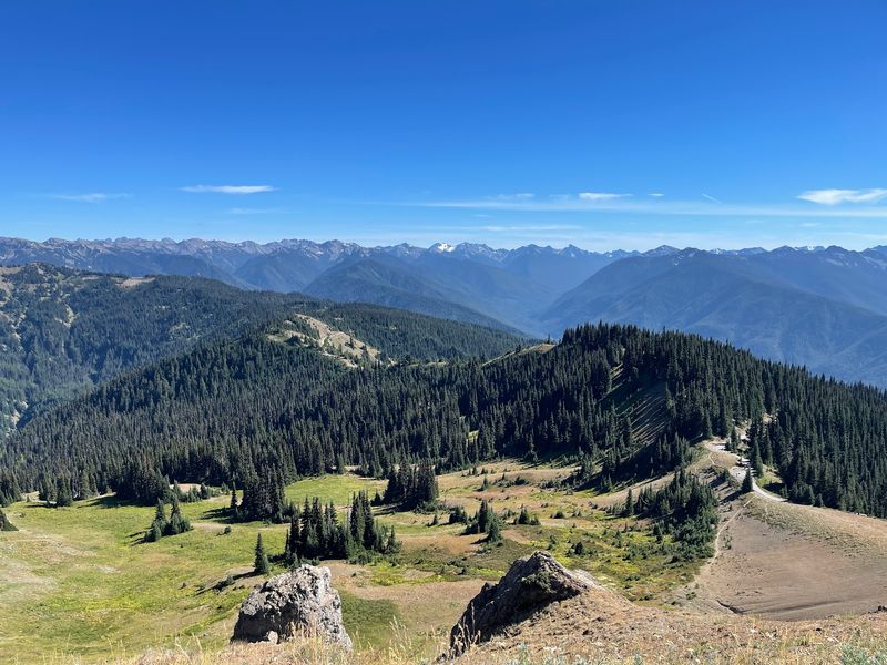 Hurricane Ridge National Park Service