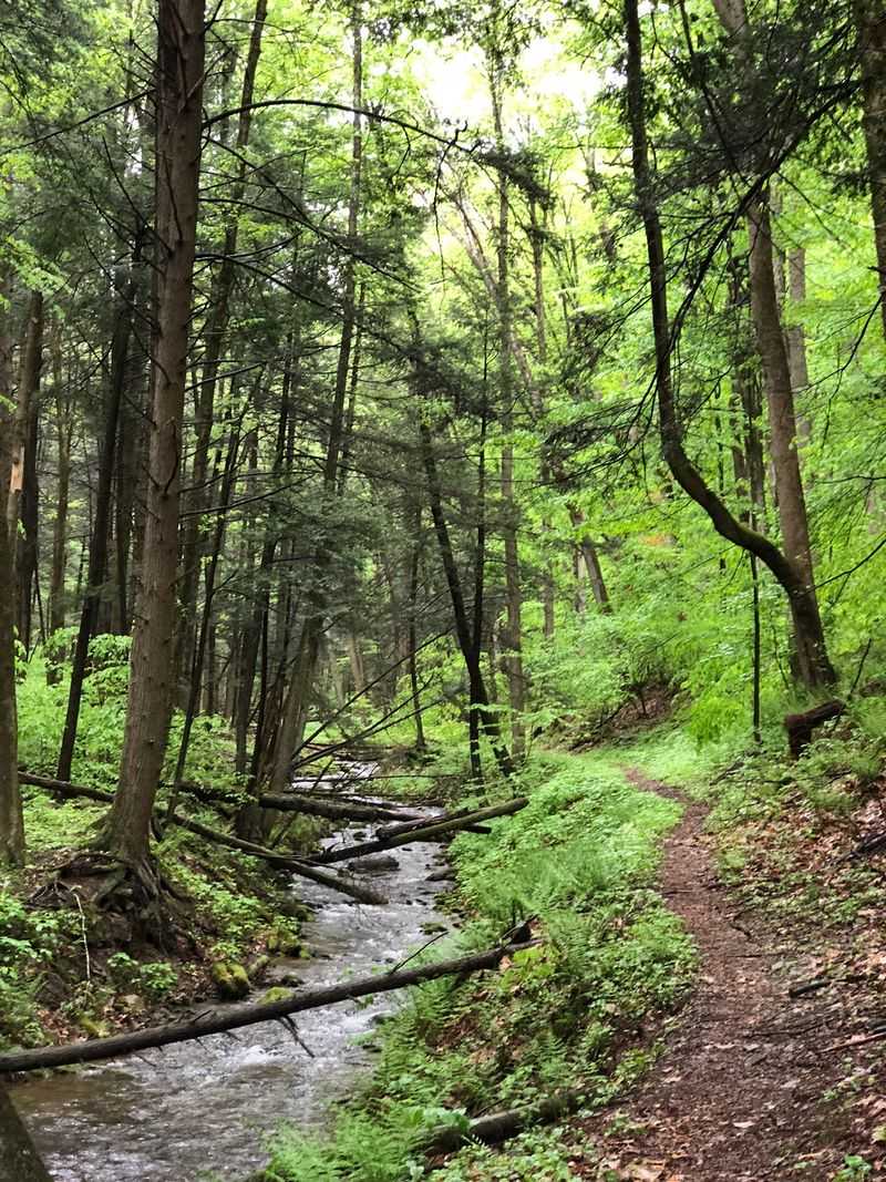 Hyner Run State Park Campground, North Bend, PA