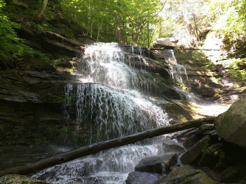 Colton Point State Park, Wellsboro