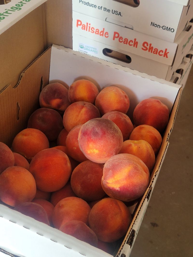 It's not summer until the Palisade peaches hit