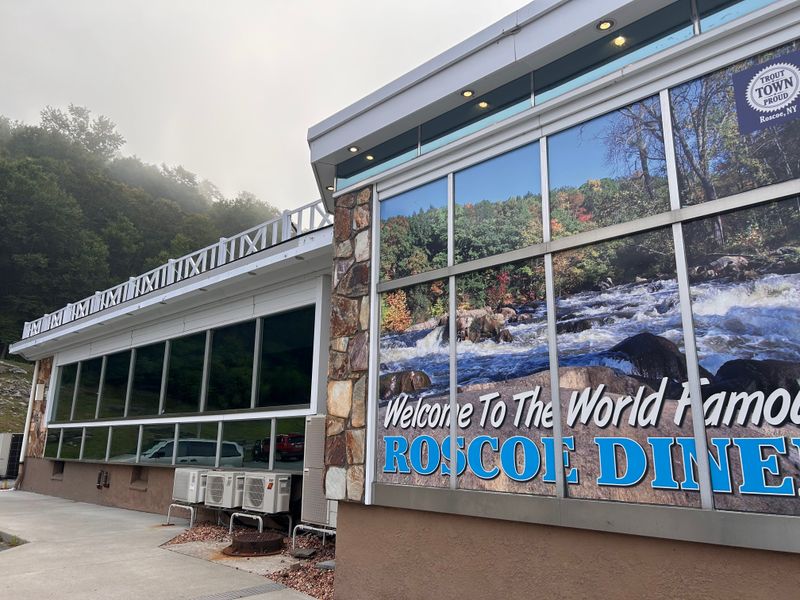 Roscoe Diner — Roscoe, New York (Delivered Old-School Comfort)