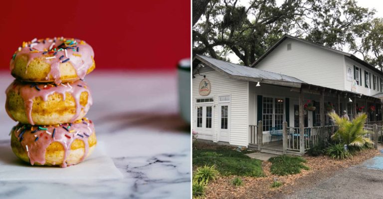 I Explored Small-Town Georgia To Try 7 Donut Shops (And Found 2 That Were Worth the Detour)