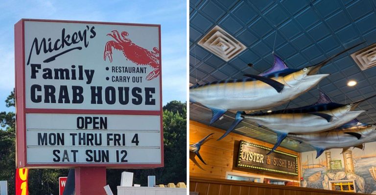 I Road-Tripped Delaware’s Coastal Highway To Visit 10 Fish-And-Chips Spots (4 Had Serene Atlantic Views)
