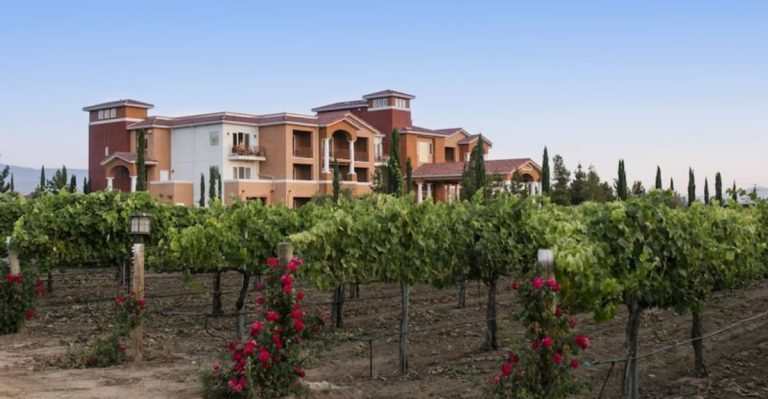 I Went To A California Winery Thanksgiving Dinner, And It Was Pure Autumn Luxury