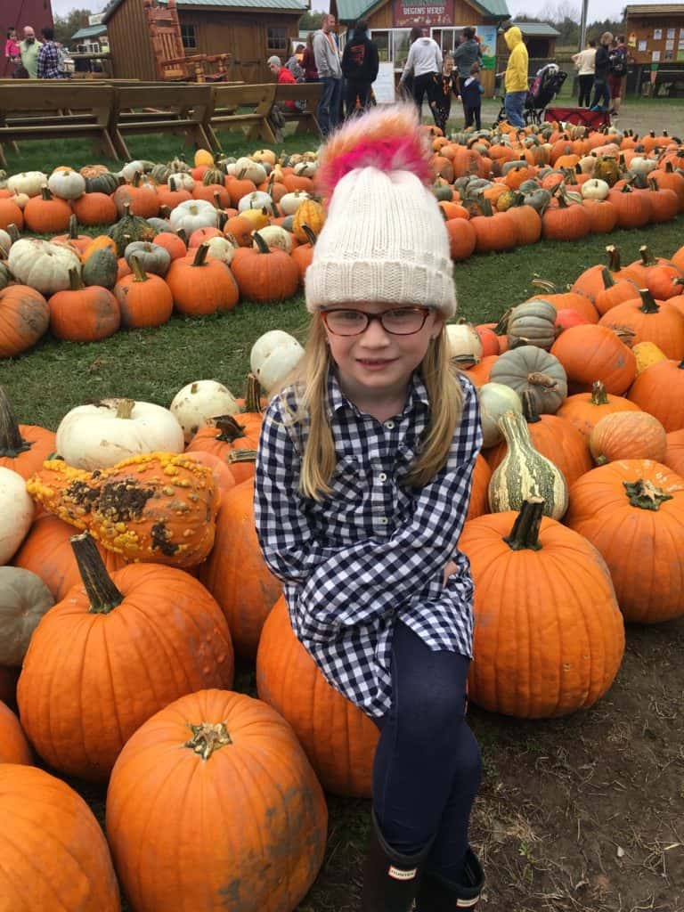 Fall Fun at Roba Family Farms - Ever After in the Woods