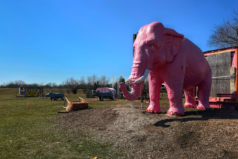 A Playground Of Roadside Oddities
