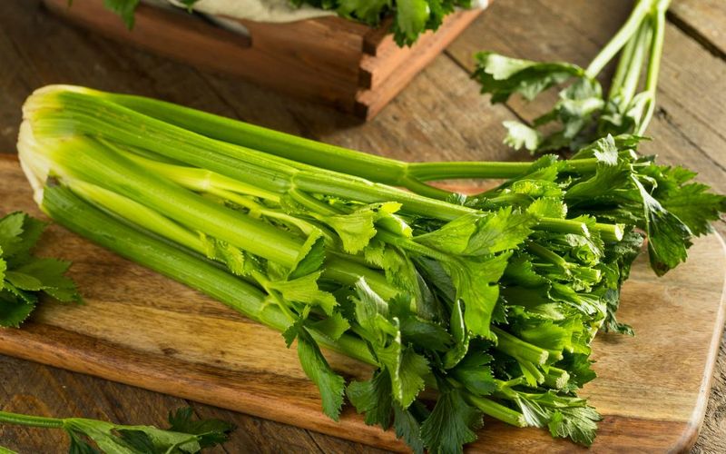 Celery: The Crunchy Water Stick