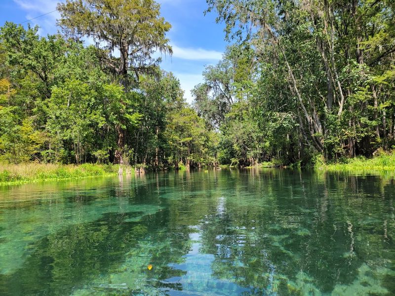 Ichetucknee Springs State Park, Fort White