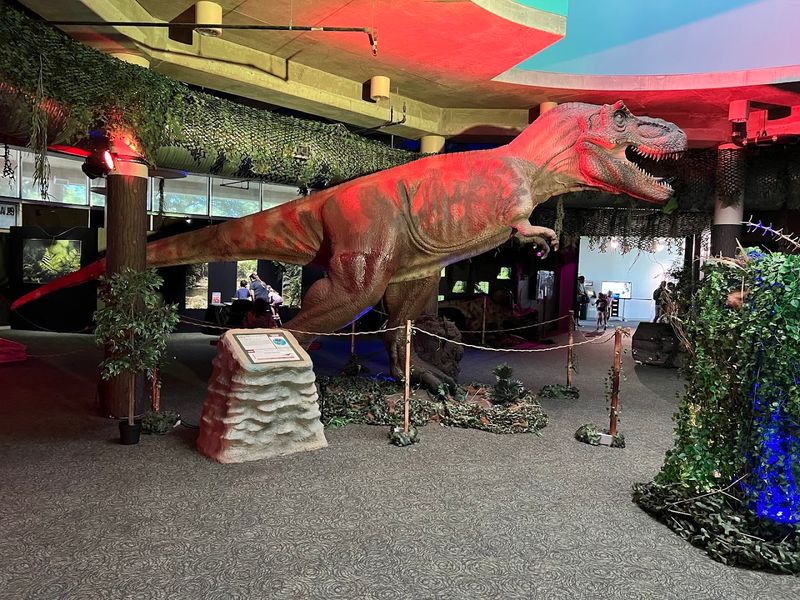 Immersive Dome Theatre Shows