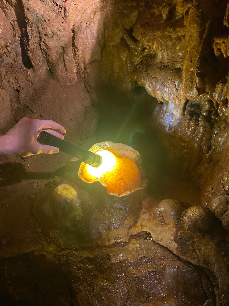 Home To Rare Cave Wildlife