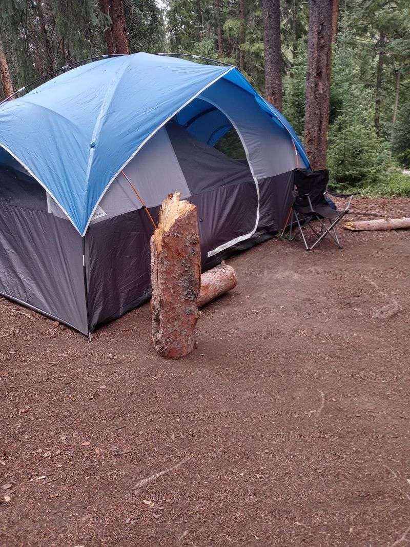 Idlewild Campground, near Winter Park