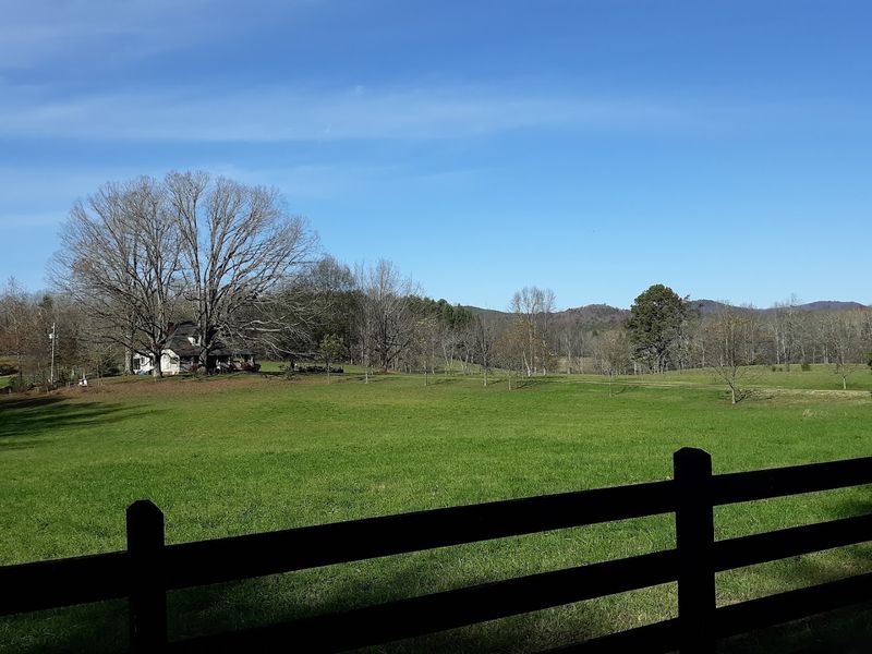 Waking Up To The Sound Of Actual Nothing