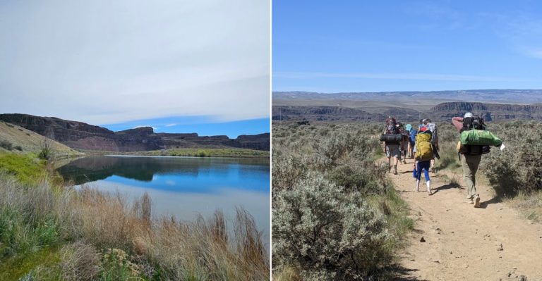 If You Only Hike One Trail In Washington This Year, Make It This Unforgettable 4.6-Mile Adventure