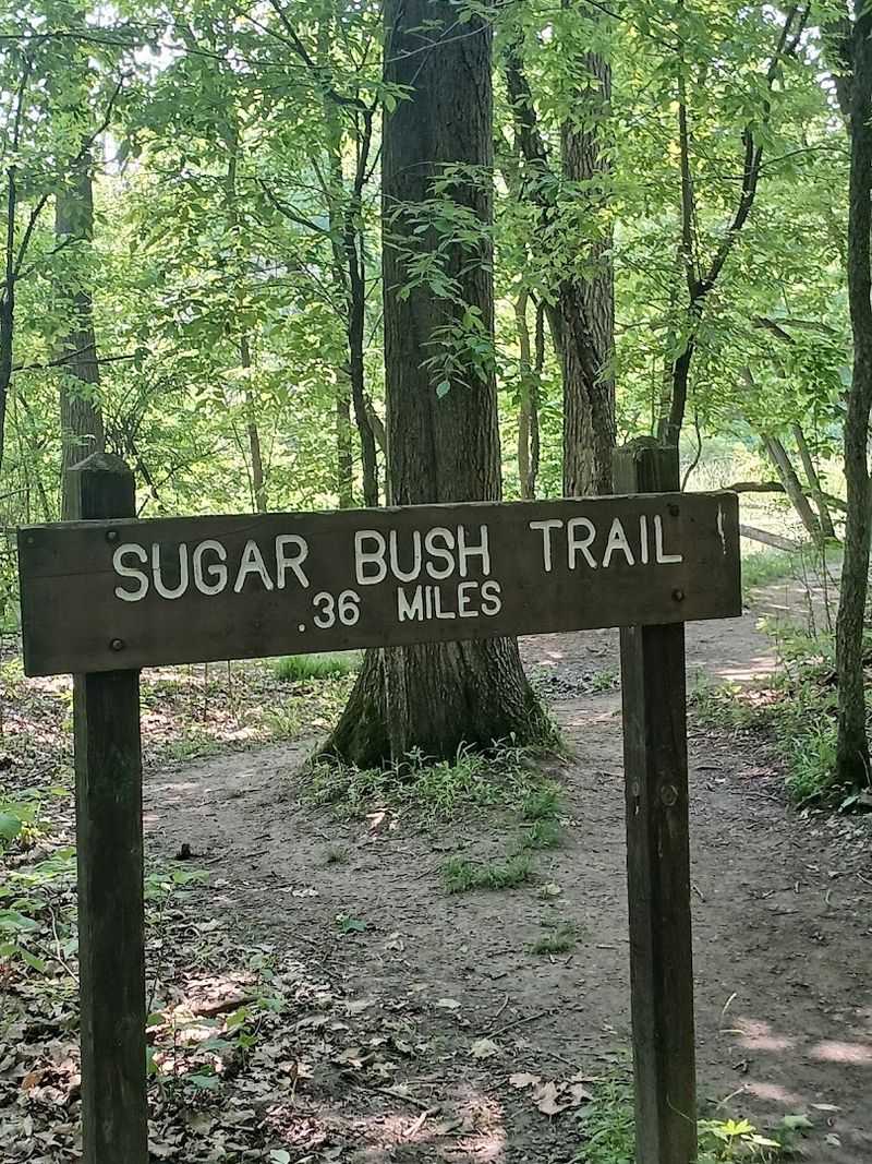 If You Visit In March, Make The Sugar Bush Your Priority If You Visit In March, Make The Sugar Bush Your Priority