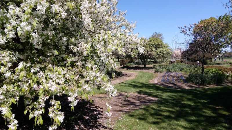 If You Visit Outside Tulip Time, Know The Garden Shifts Seasons